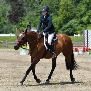 Meet your Posher, Jane